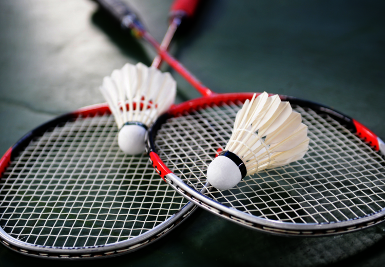 Badminton récréatif libre